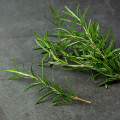 herbal-solutions-for-healthy-hair-this-diwali-the-power-of-rosemary-dermatouch