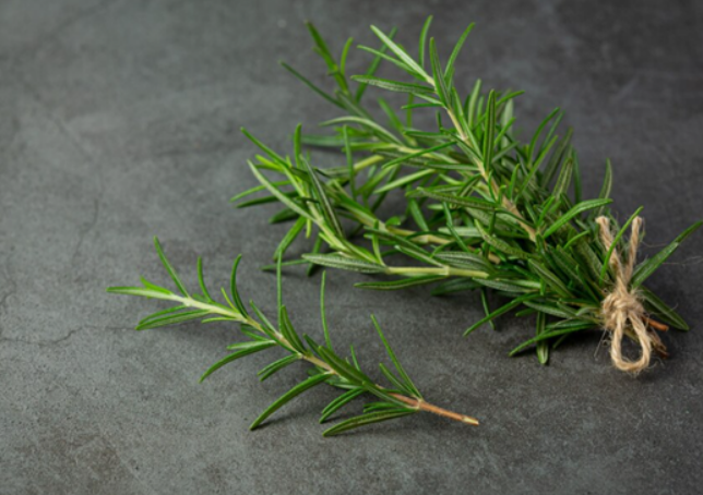 herbal-solutions-for-healthy-hair-this-diwali-the-power-of-rosemary-dermatouch