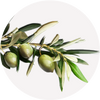 ingredients-dermatouch