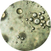 ingredients-dermatouch