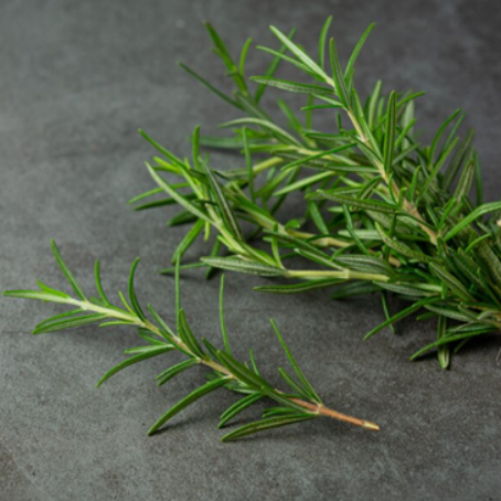 Herbal Solutions for Healthy Hair This Diwali: The Power of Rosemary