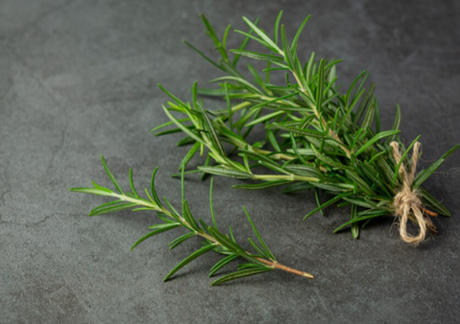 Herbal Solutions for Healthy Hair This Diwali: The Power of Rosemary