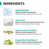 Ingredients of Niacinamide 10% Zinc PCA 1% Serum