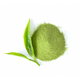 Green Tea Extract