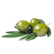 OA Hidroxitirosol LD